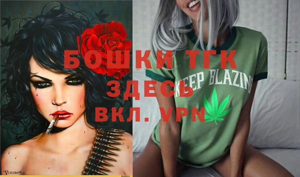 ALPHA PVP Каменск-Шахтинский